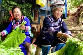 云南弥勒：做好烤烟烘烤 助力乡村振兴图片