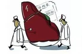 如何把吃出来的脂肪肝再“吃回去”？图片
