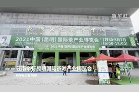 云南举行昆明国际茶叶产业博览会视频封面