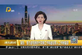浦东：奋力谱写新时代双拥工作和退役军人工作新篇章视频封面