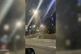 白俄罗斯女子拍到蜉蝣群在街道聚集 犹如雪花到处都是图片