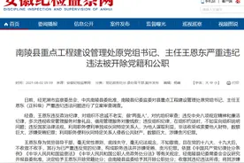 南陵县重点工程建设管理处原党组书记王恩东被双开图片