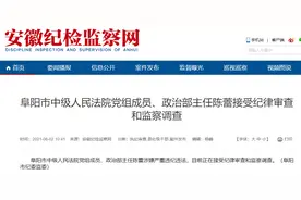 阜阳市中级人民法院党组成员、政治部主任陈蕾接受审查调查图片