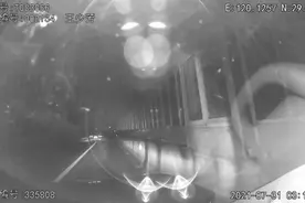 踹车、打人...男子一系列“迷惑操作”看呆交警图片