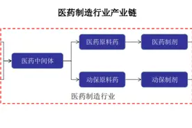 “医药平台龙头”国邦医药上市：业绩连增三年，募26亿发展主业图片