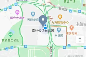 公立园摇号没摇上怎么办？森林公馆幼儿园也许是您更好的选择哦图片