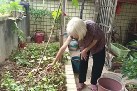 岁月挡不住的母爱，百岁老太为儿孙纳鞋垫备零食图片