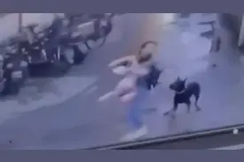 未牵绳烈性犬奔来上海一对母女被吓懵：希望对狗依法处置视频封面