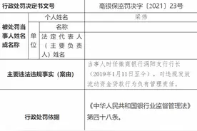 不良贷创5年新高 徽商银行一支行两任行长均涉违规贷图片