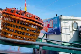 开海第一篓梭子蟹“全程吸氧”抵沪，大润发上海门店抢鲜上市图片