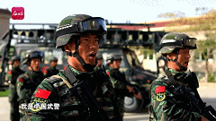 微视频丨看“反恐尖刀中队”捕歼战斗演练图片
