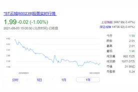 上半年靠“卖卖卖”扭亏为盈，云南城投营收仍跌超四成图片