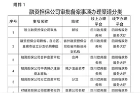深化“放管服”四川融资担保公司审批备案可“一网通办”图片