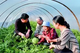中国人实现“吃瓜自由”得感谢这位奶奶图片
