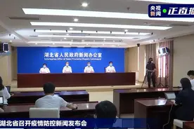 湖北：此轮疫情传播链清晰 3地首例病例均与淮安某旅行团存在时空联系图片