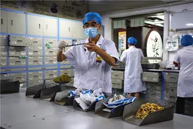 中药汤剂助力抗疫图片