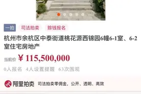 起拍价1.155亿元！杭州最贵法拍房，红木家具闪瞎眼图片