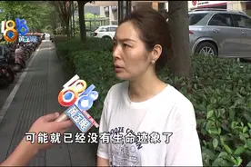 施工平台塌了，设计师出了意外图片