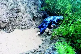 狂风暴雨中，文保人舍命护国宝无恙 罕见强降雨突袭下的河南文物保卫战图片