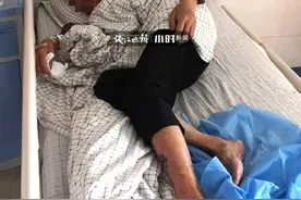 临安西部山村，老妇被神秘动物咬成重伤；有村民说，可能是狼或豺图片