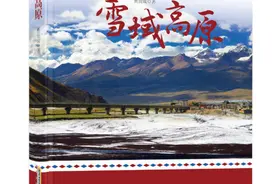 品读｜张良村：用生命和至爱谱就的感人至深的主旋律作品——评长篇小说《雪域高原》图片