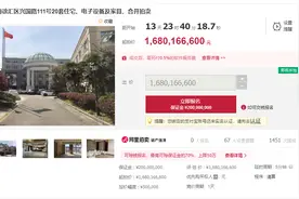 资本大佬叶简明旗下上海豪宅继续拍卖 这次有20套16.8亿元起拍图片