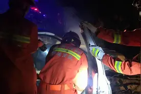 车祸致树木穿透驾驶室，六旬老人被困，聊城消防紧急救援图片