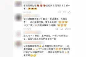 让裁判连打满分的跳水是什么样的？14岁小将上演“水花消失术”图片