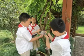 广中路小学：“自然环境+社会文化+自我成长”三大生态课程，铺就学生个性化发展之路图片