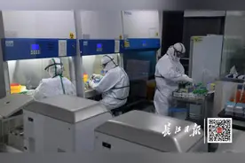 直击实验室：武汉核酸检测结果是怎么来的视频封面