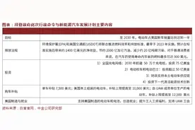 “2030年半数美国新车得是电动车”！拜登“小目标”意味着什么？图片