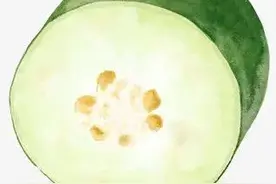 小冬瓜西瓜卷心菜……迷你蔬果的来历你都了解吗？图片