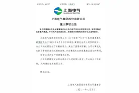 上海电气总裁黄瓯突然离世，公司深陷83亿财务黑洞图片