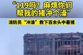 高温下“二师兄”热蒙了！消防员浇水20分钟“续命”图片