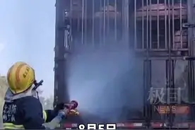 高温下“二师兄”热蒙了！消防员浇水20分钟“续命”图片