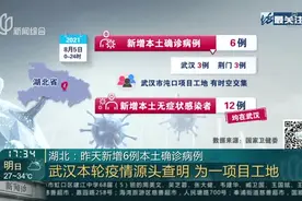 湖北：昨日新增6例本土确诊病例 武汉本轮疫情源头查明 为一项目工地视频封面