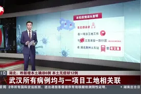 湖北：昨新增本土确诊病例6例 本土无症状12例---武汉所有病例均与一项目工地相关联视频封面