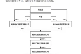 美达股份拟定增募资近5亿 恒申集团董事长或成新实控人图片