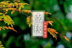 夜读｜立秋：迟迟白日晚 袅袅秋风生图片