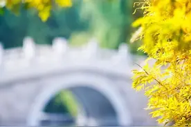 今日立秋！这份养生保健秘笈请收好图片