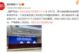 最严防控！湖北发布会：武汉封控小区增至157个图片