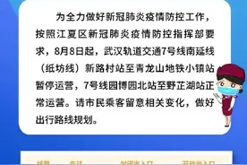 武汉江夏区部分地铁和公交停运图片
