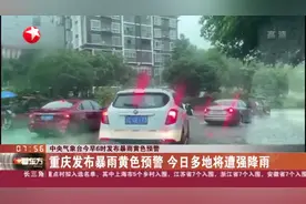 重庆发布暴雨黄色预警 今日多地将遭强降雨视频封面