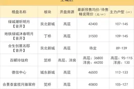 新政出台后，红盘潮开闸！做好准备！｜8月预计入市房源一览图片