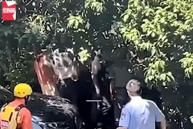 22岁双胞胎兄弟争吵坠河哥哥遇难！父亲：因为早餐的事情拌嘴图片