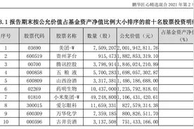 重仓腾讯美团坐“过山车”，鹏华王宗合的爆款跌破“面值”图片