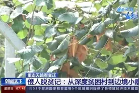 重走天路看变迁丨僜人脱贫记：从深度贫困村到边境小康村图片