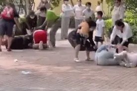 游客园内打斗，北京野生动物园：引发动物效仿，场面失控……图片