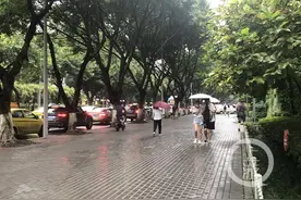 天气预报丨雨来了！重庆明天大到暴雨 中心城区最高气温32℃图片