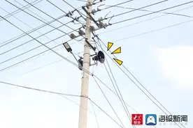 土味又“硬核”！日照一村书记大喇叭喊话：口罩继续戴，不遮丑但防晒图片